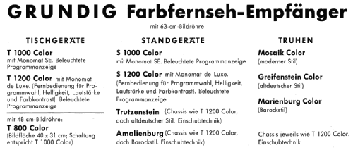 Zauberspiegel Trutzenstein Color Ch= T1200; Grundig Radio- (ID = 2071099) Television