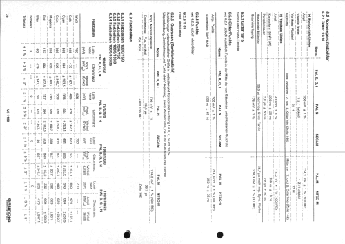 Videogenerator VG1100; Grundig Radio- (ID = 2114380) Equipment