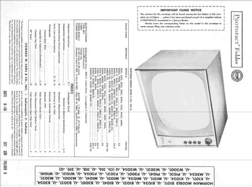 B1011 Ch= 316; Hoffman Radio Corp.; (ID = 2367050) Television