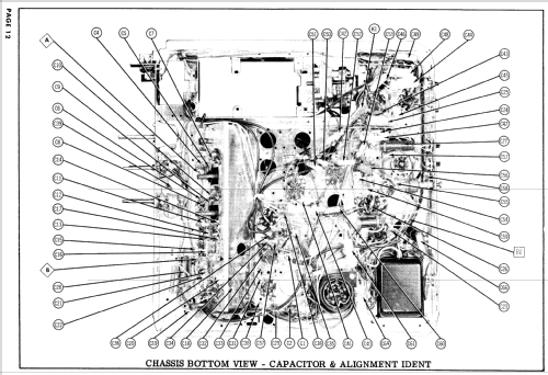 B1311 Ch= 339; Hoffman Radio Corp.; (ID = 935350) Television