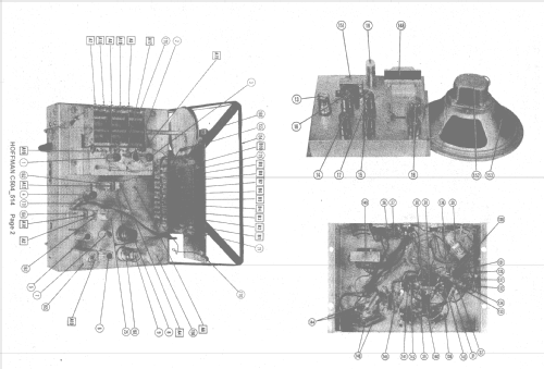 C504 ch= 123; Hoffman Radio Corp.; (ID = 1408544) Radio