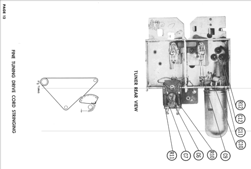 M3181 Ch= 420; Hoffman Radio Corp.; (ID = 2459376) Télévision