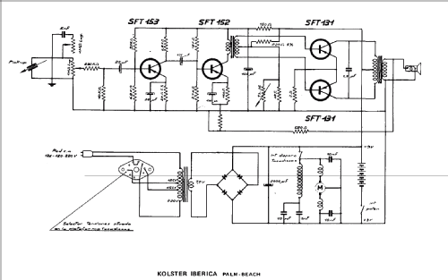 Palm Beach Ch= Braun PC3; Kolster Iberica, S.A (ID = 440592) Reg-Riprod