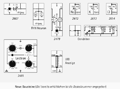 Lectron Ausbau-System Neurophysiologie I 1108; Lectron GmbH; (ID = 1144880) teaching