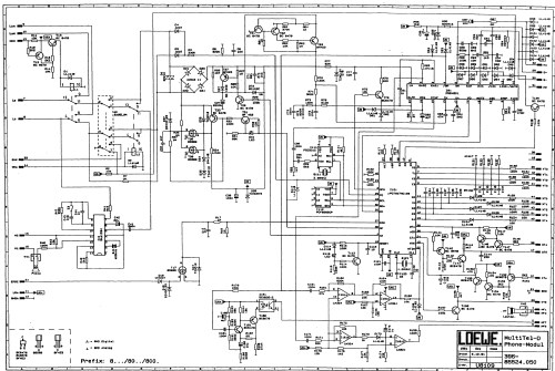 Loewe MultiTel-D BTX ; Loewe-Opta; (ID = 2940523) Computer & SPmodules