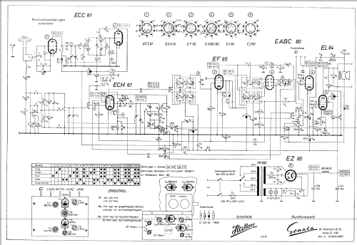 Hallore ; Niemann & Co., (ID = 17494) Radio