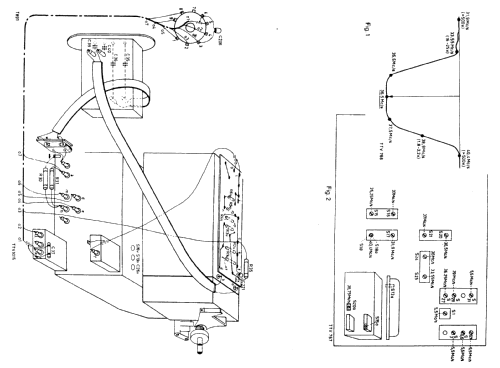 19TX531A /38; Philips; Eindhoven (ID = 1002877) Television