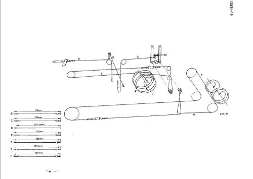 B7X83A /19; Philips; Eindhoven (ID = 46244) Radio