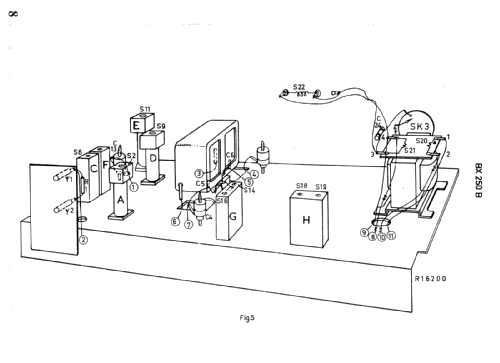 BX250B /00; Philips; Eindhoven (ID = 821708) Radio