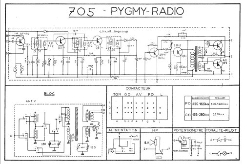 705; Pygmy, Ciate-Pygmy (ID = 2008869) Radio