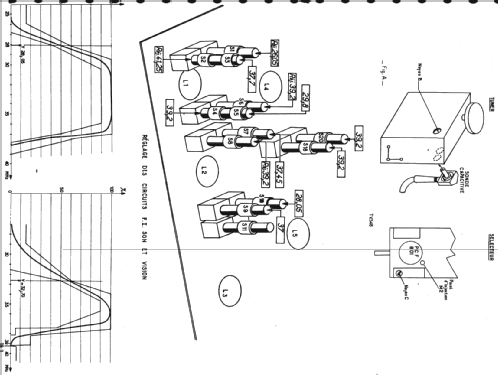 TM 307-G; Radiola marque (ID = 293878) Television