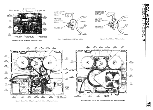 7-TRC-1 'The Legislator' ; RCA Victor (ID = 2256801) R-Player