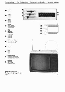 Electronic Pro FP 30; SABA; Villingen (ID = 2872001) Television