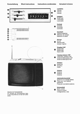 Electronic Pro FP 30; SABA; Villingen (ID = 2872025) Television