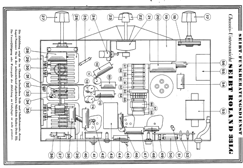 Roland 33LG ; Seibt, Dr. Georg (ID = 2635326) Radio