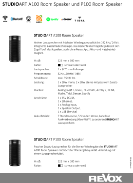 Studioart Room Speaker A100; Studer GmbH, Willi (ID = 2949829) Speaker-P