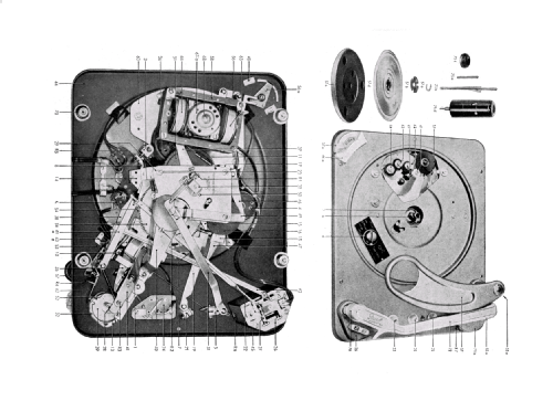 1003; Telefunken (ID = 1065569) R-Player