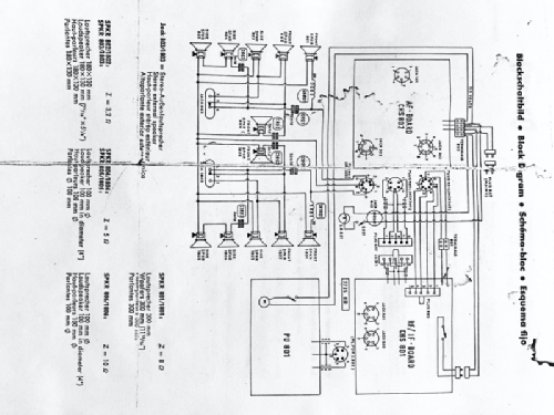 Bayreuth 5552-MX; Telefunken (ID = 2506371) Radio