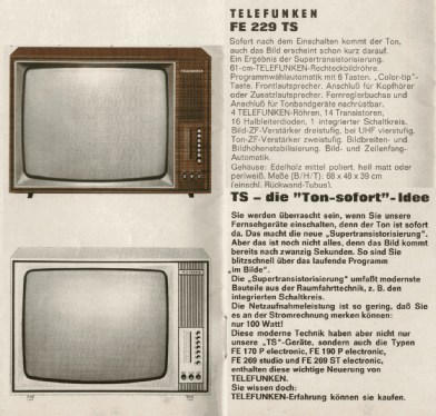 FE229TS; Telefunken (ID = 2086379) Television