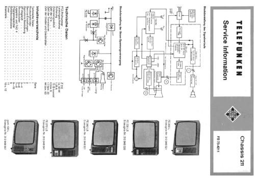 FE230LS Ch= 211; Telefunken (ID = 480398) Television