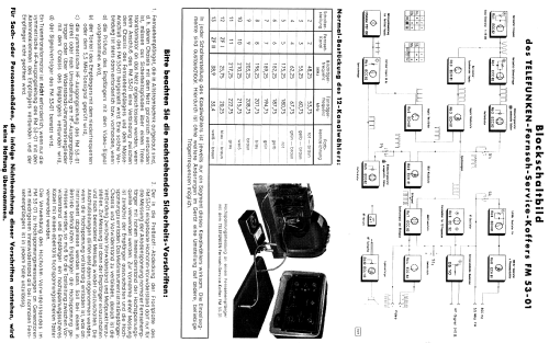 Fernseh-Service-Koffer FM53-01; Telefunken (ID = 339473) Equipment