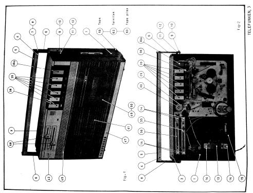 K-81; Telefunken (ID = 2619768) R-Player