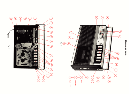 K-81; Telefunken (ID = 2655175) R-Player