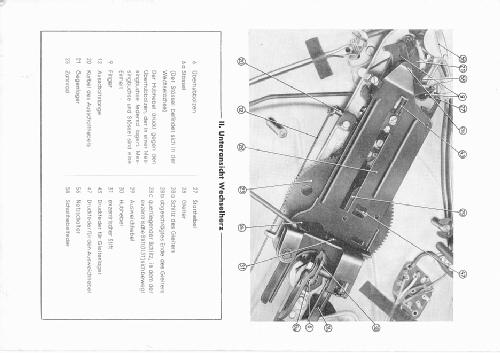 Musikus D; Telefunken (ID = 1049357) Sonido-V