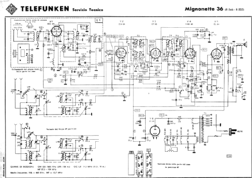 Mignonette 36 R546; Telefunken Italia, (ID = 2636404) Radio