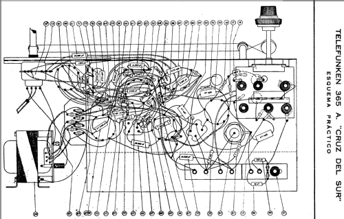Cruz del Sur 365-A; Telefunken (ID = 675763) Radio