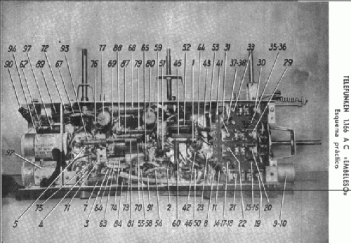 Embeleso 1166AC; Telefunken (ID = 325438) Radio