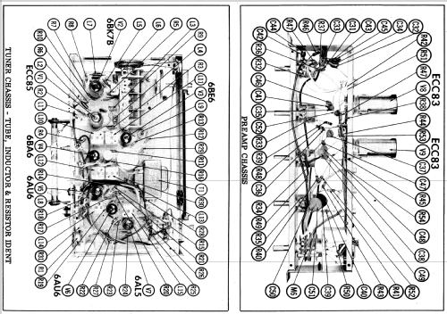 801 ; V-M VM Voice of (ID = 546243) Radio