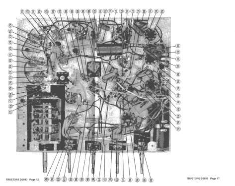 D2983 Truetone ; Western Auto Supply (ID = 1356469) Television