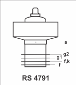 rs4791.gif