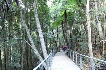 Australia: Scenic World - Scenic Railway & Scenic Cableway in 2780 Katoomba