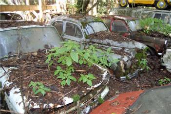 Switzerland: Historischer Autofriedhof Gürbetal - Messerli Autoverwertung GmbH in 3126 Kaufdorf