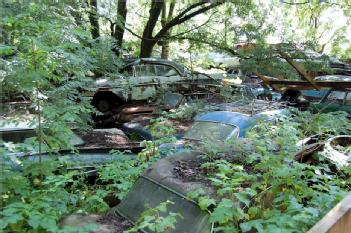 Switzerland: Historischer Autofriedhof Gürbetal - Messerli Autoverwertung GmbH in 3126 Kaufdorf