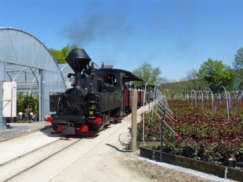 Switzerland: Schinznacher Baumschulbahn in 5107 Schinznach-Dorf