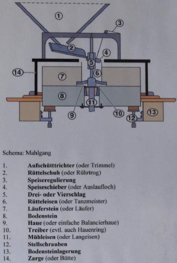 Germania: Bergschiffmühle im Burggarten Bad Düben in 04849 Bad Düben