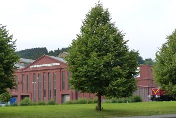 Germany: Jung - Lokdenkmal in 57584 Kirchen - Jungenthal