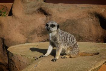 Germany: Tier- und Freizeitpark Gut Eversum in 59399 Olfen