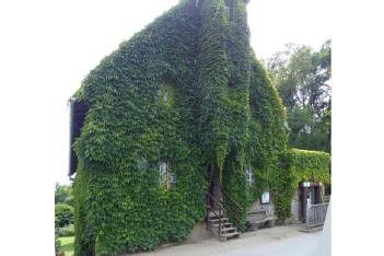 Germany: Tüshaus Mühle Deuten in 46286 Dorsten