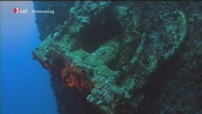 Egypt: SS Thistlegorm in Sharm Al Sheikh