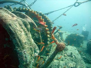 Egypt: SS Thistlegorm in Sharm Al Sheikh