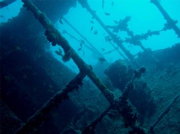 Egypt: SS Thistlegorm in Sharm Al Sheikh