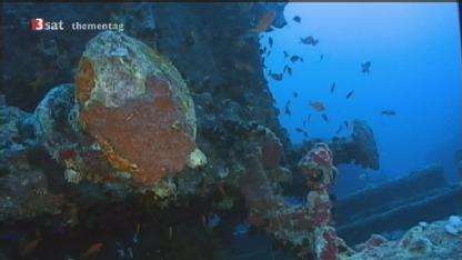 Egypt: SS Thistlegorm in Sharm Al Sheikh