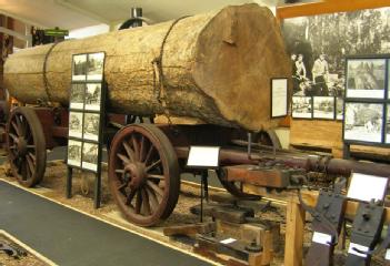 Neuseeland-Aotearoa: Kauri Museum in 0593 Matakohe