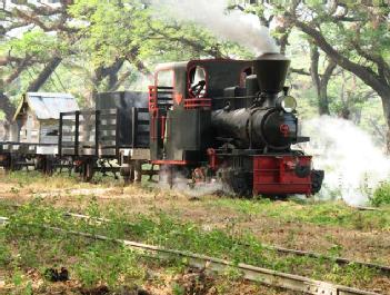 Indonesia: Cepu Forest Railway in Cepu