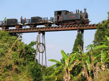 Indonesia: Cepu Forest Railway in Cepu