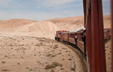 Tunisia: Lézard Rouge - Rote Eidechse - السحلية الحمراء in 2130 Métlaoui